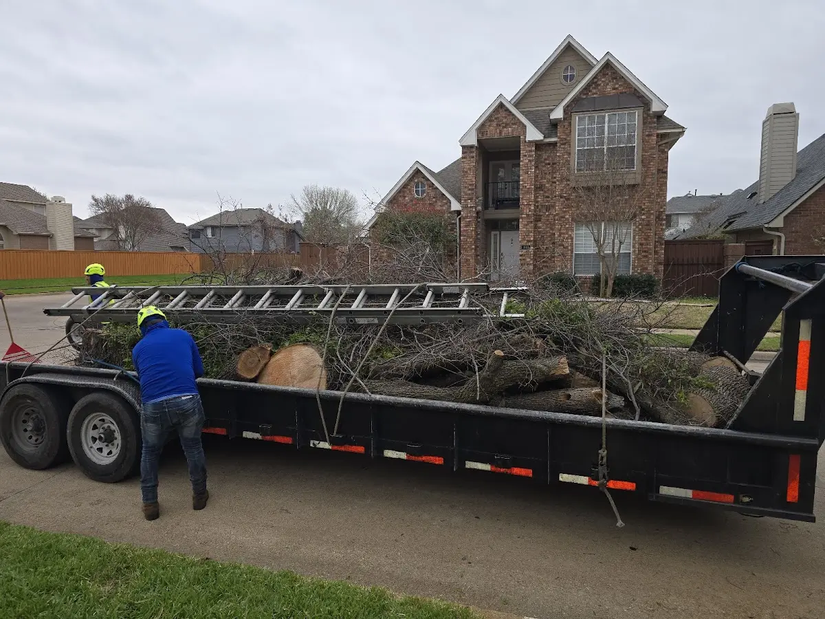 Expert Tree Pest Control with proper safety equipment in Lake Orion